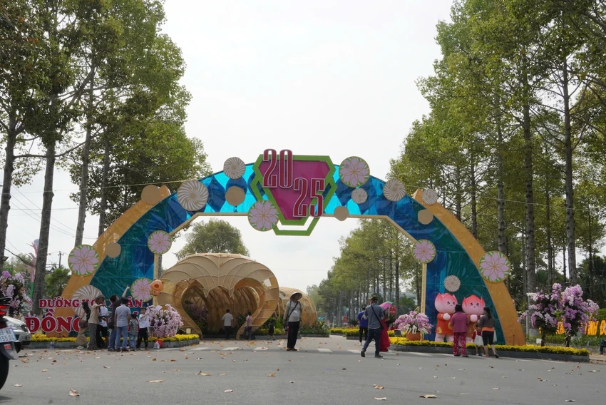 duong-hoa-xuan-dong-thap-4.jpg