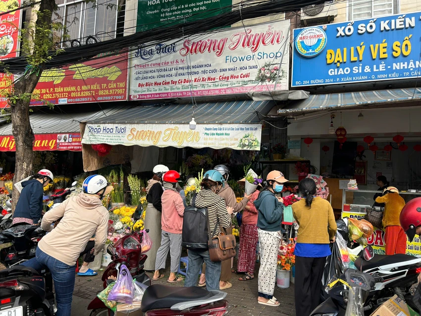 hoa đồng tiền