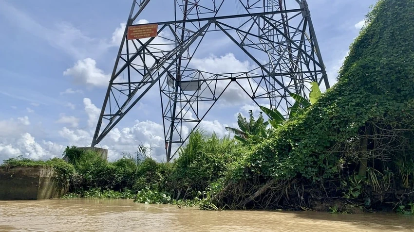 vo-bo-bao-tra-vinh-2.jpg