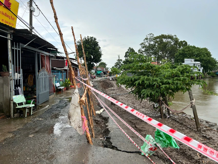 sat-lo-bo-song-an-giang-1.jpg