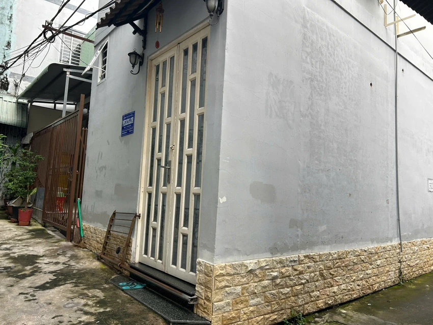 đường sắt cao tốc Bắc – Nam,Liên minh Mekolor