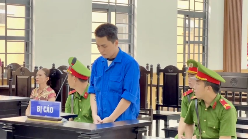 không mua vé