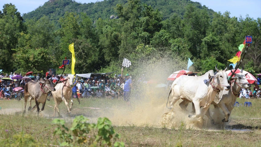 dua-bo-bay-nui-an-giang-9.JPG