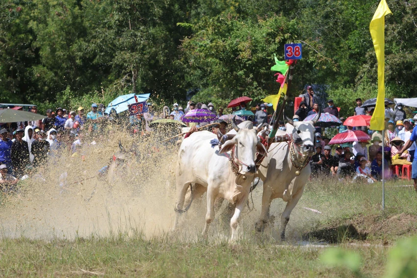 dua-bo-bay-nui-an-giang.JPG