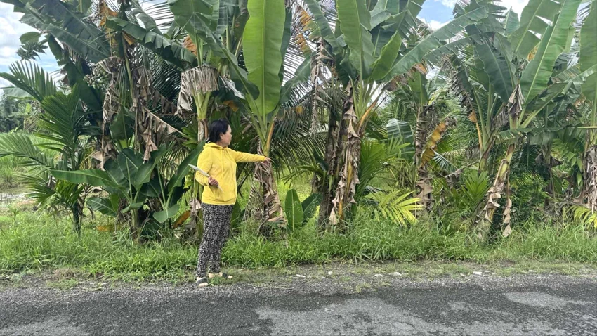 thi hành án,vĩnh long