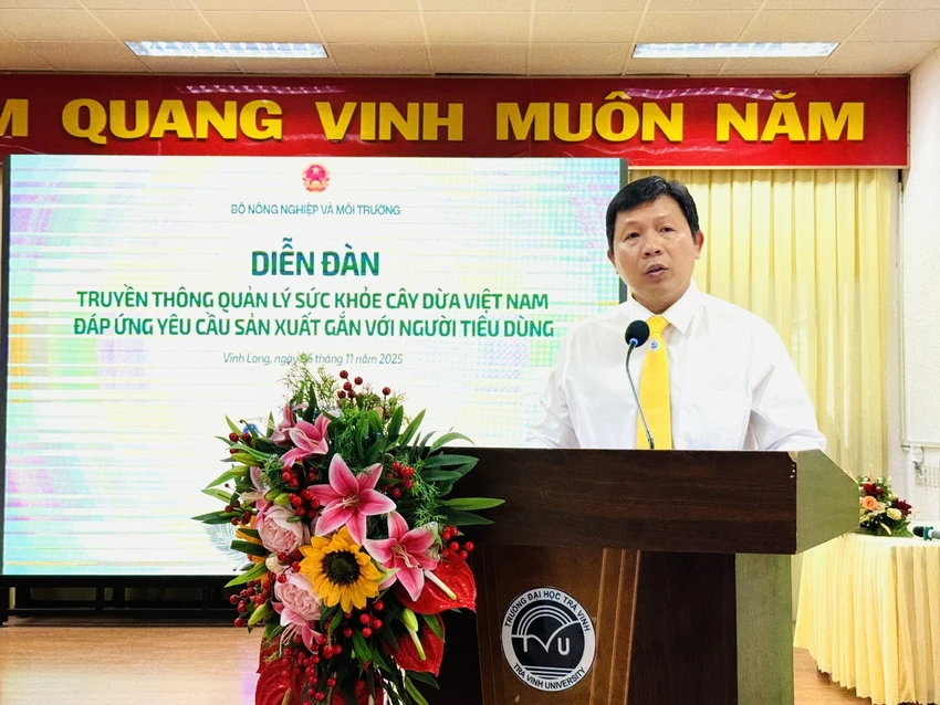 dừa,dừa sáp,vĩnh long,canh tác xanh