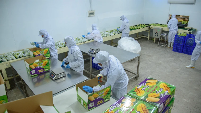 Đồng Tháp: Nông nghiệp xanh làm trụ đỡ, công nghiệp tăng tốc dẫn dắt tăng trưởng