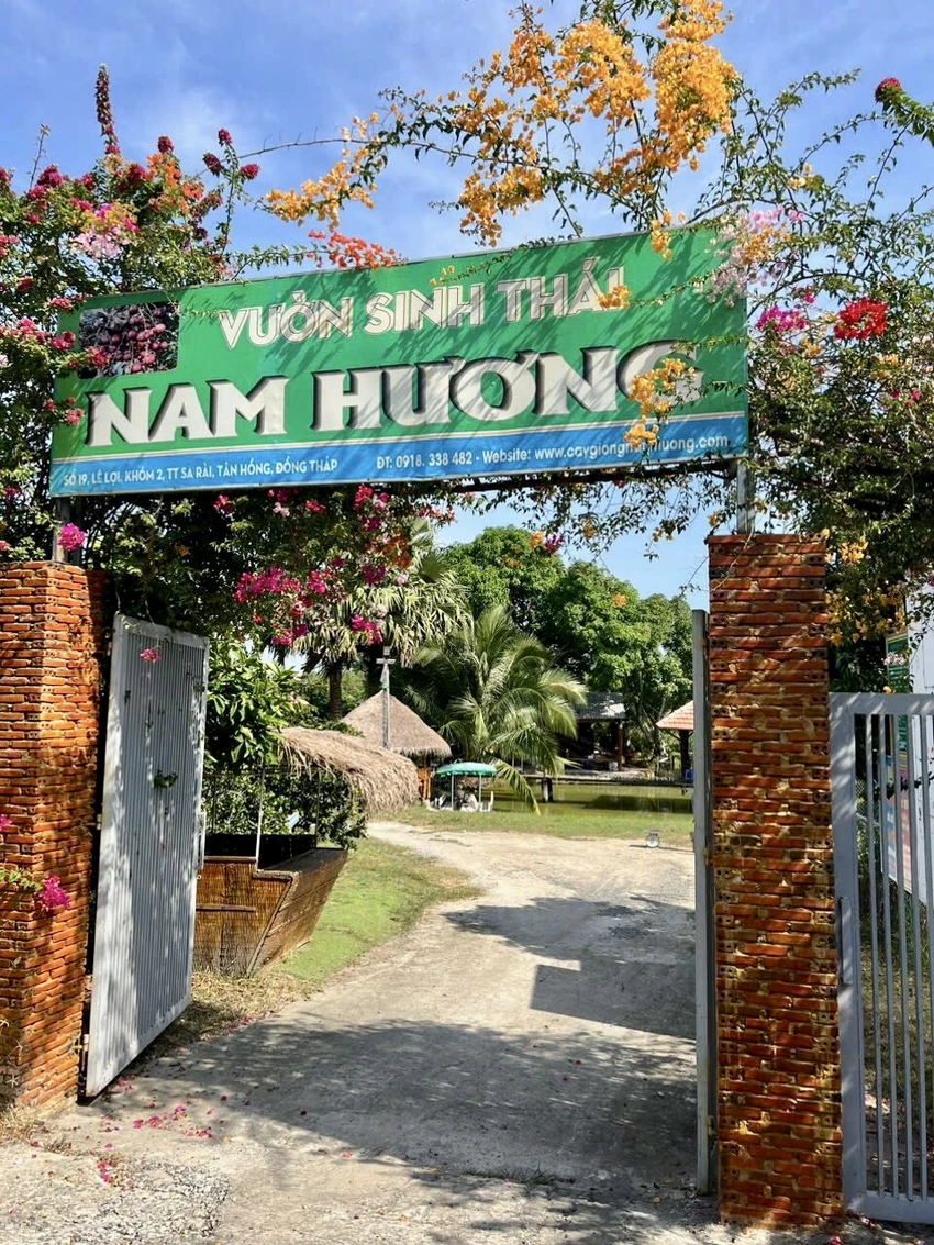 du-lich-dong-thap-vu-sau-nam-huong-an-duoc-ca-vo-2.jpg