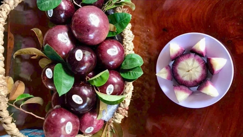 giống vú sữa có thể ăn được cả vỏ.