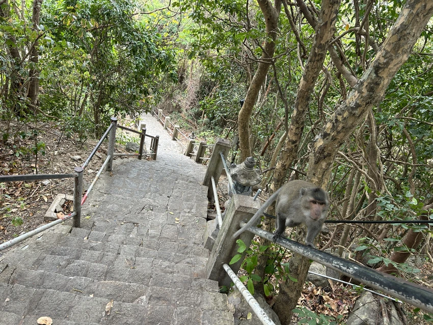 côn đảo,du xuân,chùa núi một,vân sơn tự,lịch sử