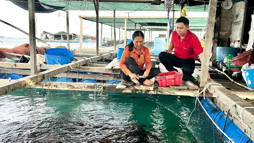 Nguồn vốn tín dụng là bệ đỡ để gia đình bà Hoa tiếp tục tham gia và phát triển nghề nuôi biển