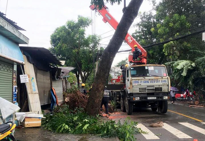 TP.HCM: Nhiều nơi thiệt hại nặng bởi cơn “cuồng phong” ảnh 1