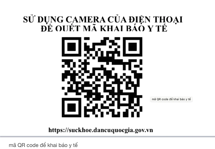 csgt-khai-bao