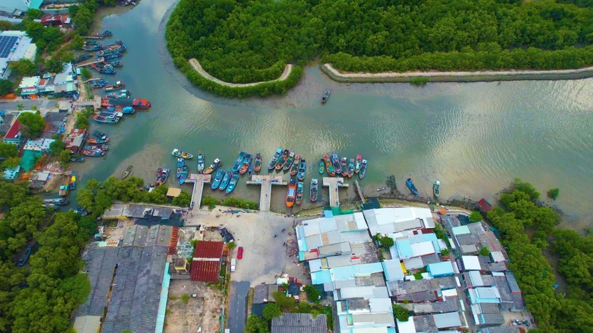 Khu Đất ngập nước đề cử khu Ramsar là Rừng phòng hộ huyện Cần Giờ. Ảnh: NGUYỄN TIẾN