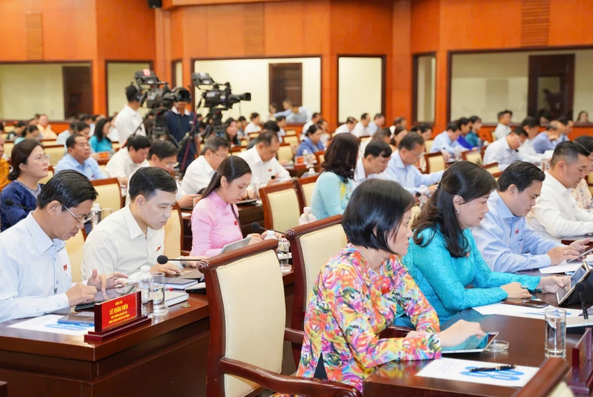 dai-bieu-hdnd-tp.hcm-3.jpg
