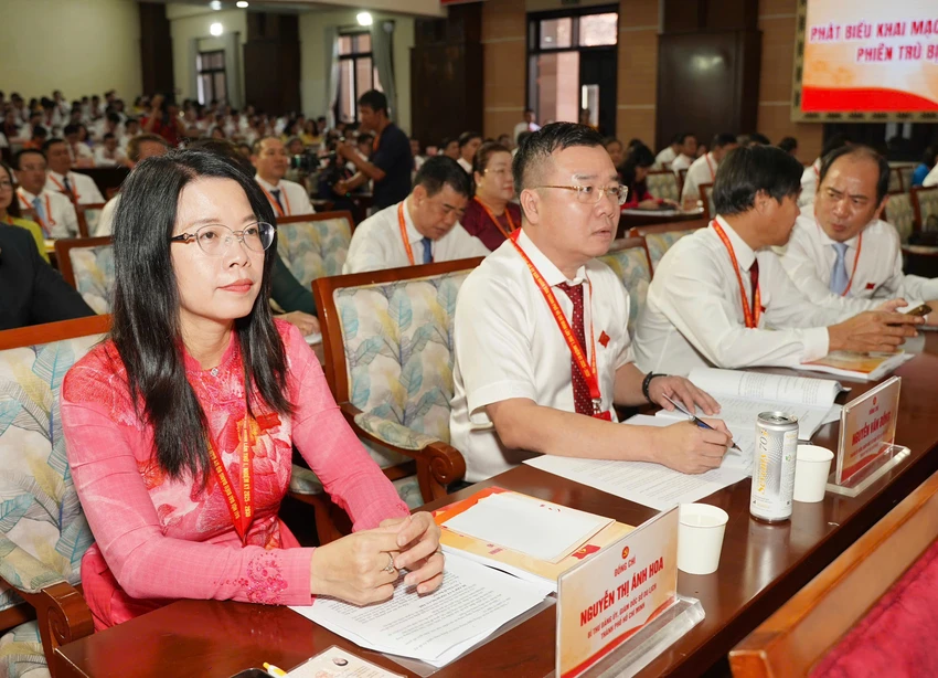 dai-hoi-dang-bo-ubnd-tp.hcm-1.jpg