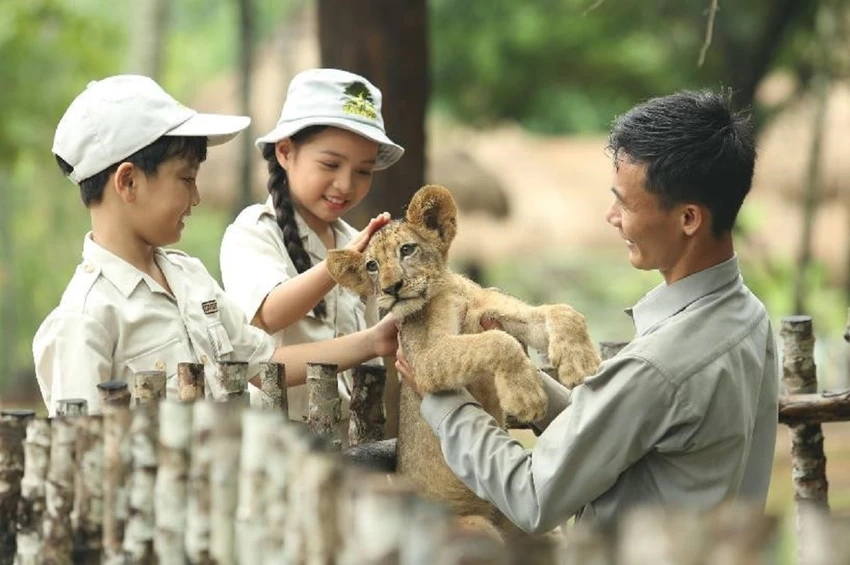 Khám phá cuộc sống của những loài động vật họ nhà mèo Khám phá cuộc sống của những loài động vật họ nhà mèo
