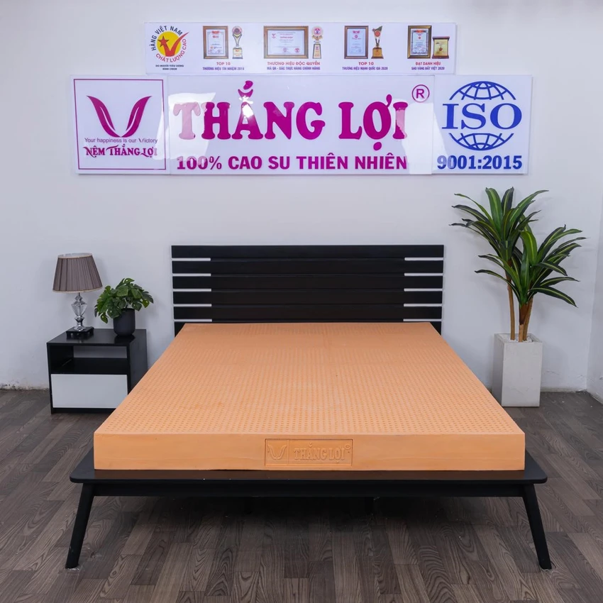 Nệm cao su thiên nhiên Thắng Lợi
