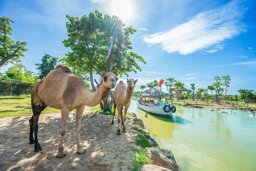 Du khảo thiên nhiên hoang dã trên sông tại River Safari Du khảo thiên nhiên hoang dã trên sông tại River Safari