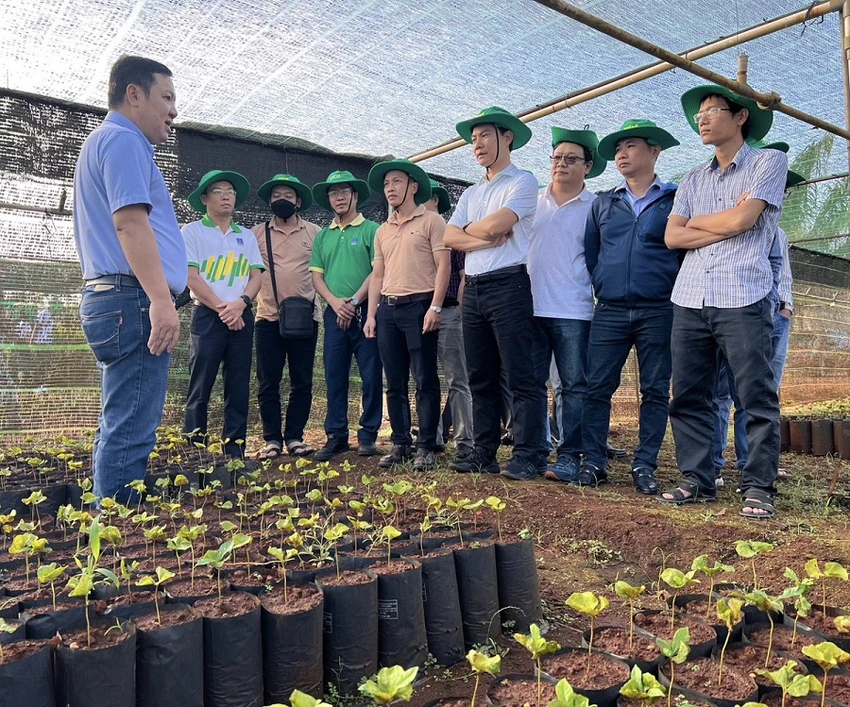Các kỹ sư Nhà máy NPK Phú Mỹ tham gia thực địa, tìm tòi nhằm nâng cao, cải tiến cho sản phẩm Các kỹ sư Nhà máy NPK Phú Mỹ tham gia thực địa, tìm tòi nhằm nâng cao, cải tiến cho sản phẩm