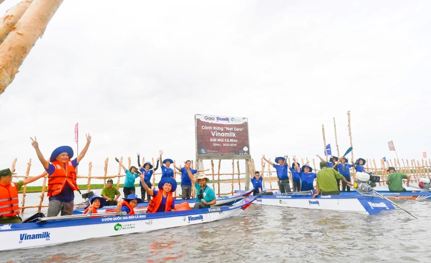 Khu vực khoanh nuôi tái sinh rừng ngập mặn có diện tích 25ha do Vinamilk, Gaia chung tay thực hiện tại vùng lõi Vườn quốc gia Mũi Cà Mau. (Ảnh: NGUYỄN HIỆU – GAIA - VINAMILK)