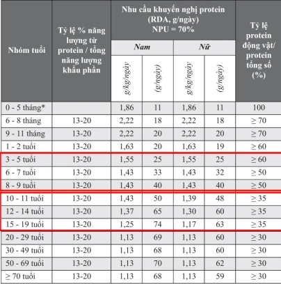 dam-thuc-vat2.jpg.png