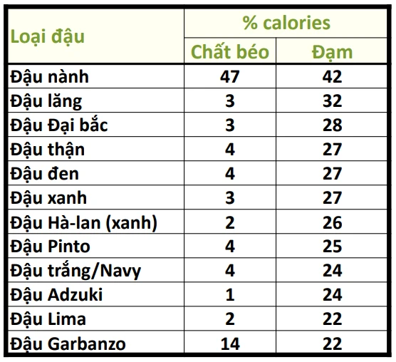 dam-thuc-vat3.jpg.png