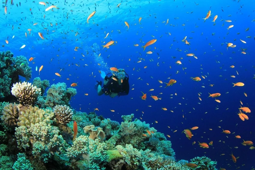 du-lich-Phu-Quoc3.jpg