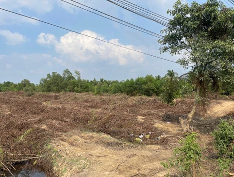 Để trang trại điện mặt trời thực sự thân thiện với môi trường