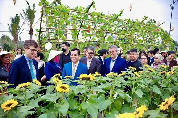 Đường hoa Home Hanoi Xuan 2024 mở cửa, hàng ngàn lượt khách hào hứng trải nghiệm hương Xuân - vị Tết tại Mailand Hanoi City