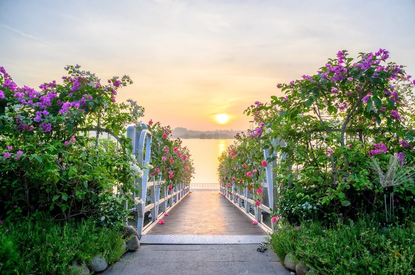 Huyền thoại trong lĩnh vực nghỉ dưỡng sang trọng nhất thế giới, lâu đời nhất châu Âu sắp có mặt tại Việt Nam