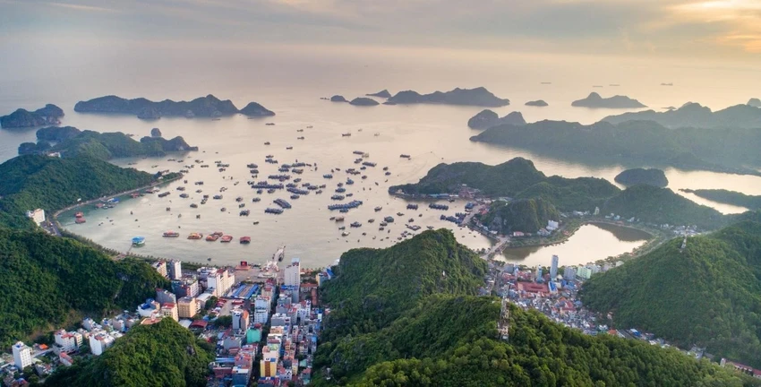 vien-truong-vien-nghien-cuu-phat-trien-du-lich-sun-group-se-tao-ra-san-pham-dang-cap-tai-cat-ba3.jpg