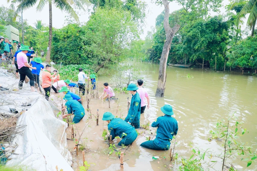 cp-viet-nam-dong-hanh-cung-dong-thap-xay-ke-xanh-giu-dat-chong-sat-lo2.jpg