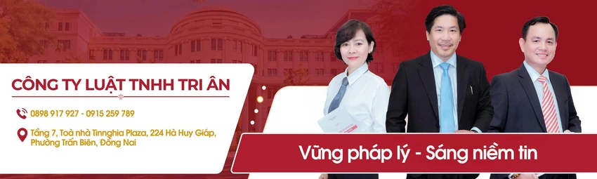 cong-ty-luat-tnhh-tri-an-dong-hanh-bao-ve-quyen-va-loi-ich-hop-phap-cua-khach-hang.png