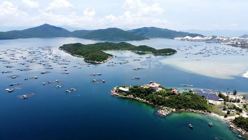 seu-dau-dan-viet-va-tam-nhin-chien-luoc-tai-khanh-hoa4.jpg