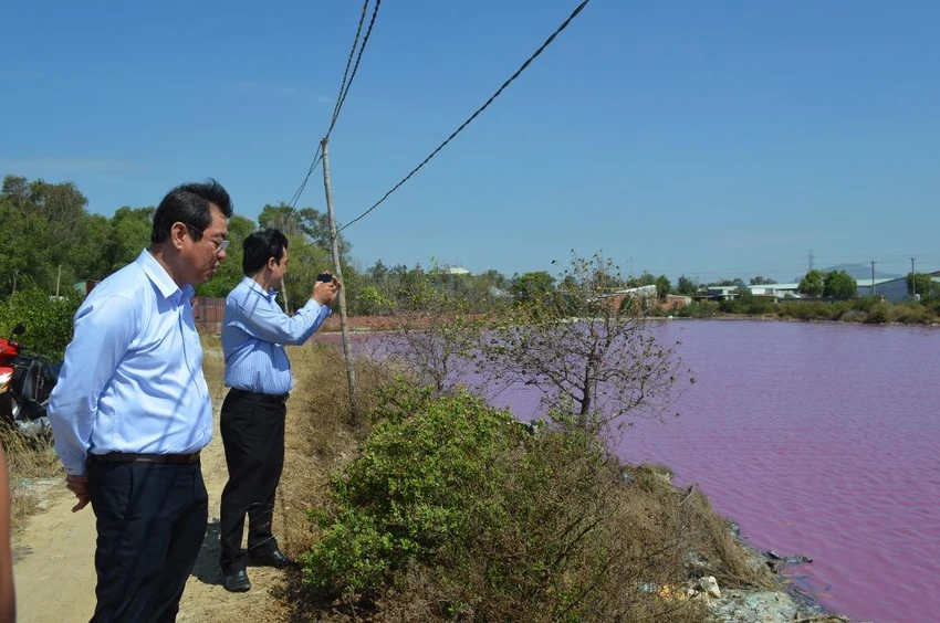 Bà Rịa-Vũng Tàu: Cả vùng nước chuyển màu đỏ tím ảnh 1 Bà Rịa-Vũng Tàu: Cả vùng nước chuyển màu đỏ tím ảnh 1