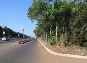 Dùng dằng 1 vụ bồi thường 10 năm ở Bà Rịa-Vũng Tàu