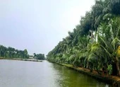 Đồng Tháp: Một chủ tịch xã bị điện giật tử vong