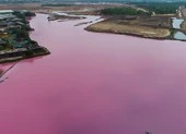 Đề xuất 'táo bạo' vụ đầm nước đổi màu ở Bà Rịa-Vũng Tàu ảnh 1 Bà Rịa-Vũng Tàu: Tốn nhiều tiền nhưng đầm vẫn 'tảo nở hoa'?