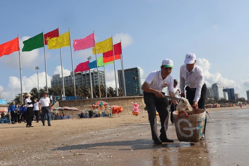 Dọn rác Bãi Sau, Vũng Tàu Bãi Sau, Vũng Tàu