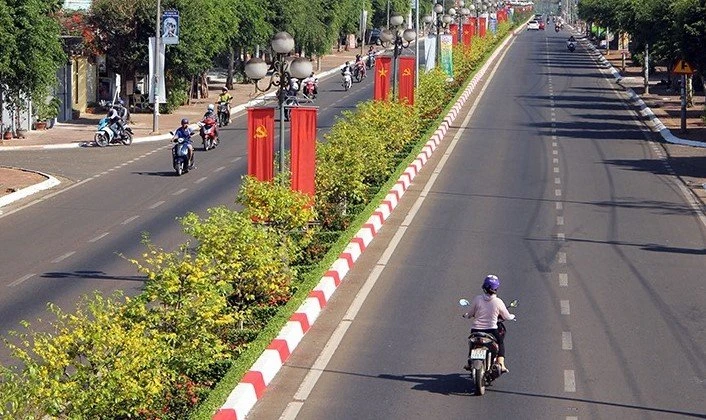 Duong-hoa-mai-Chau-Duc.jpg