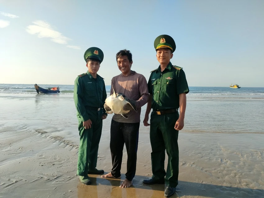 Một cá thể rùa biển quý hiếm dính lưới được biên phòng Bà Rịa- Vũng Tàu thả về biển