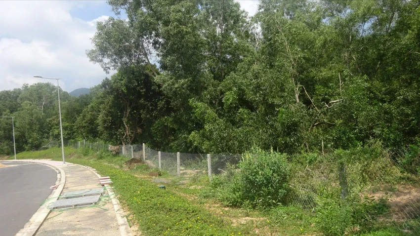 Côn Đảo bác khiếu nại của mẹ vợ nguyên Chánh án TAND huyện đòi bồi thường hơn 1,4ha đất rừng