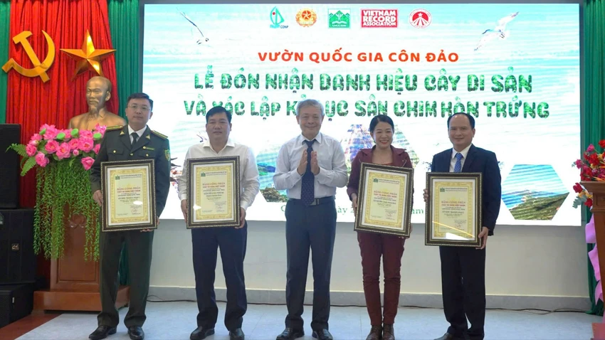 Vuong-quoc-gia-Con-Dao.jpg