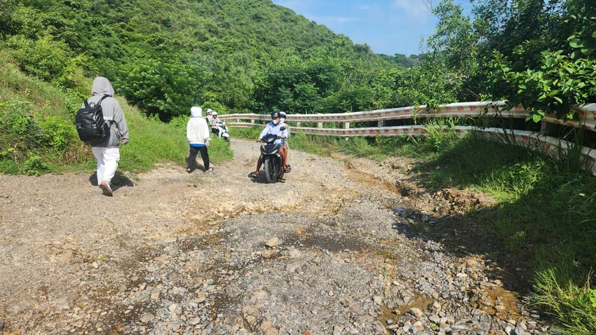 doi-con-heo-h6.jpg
