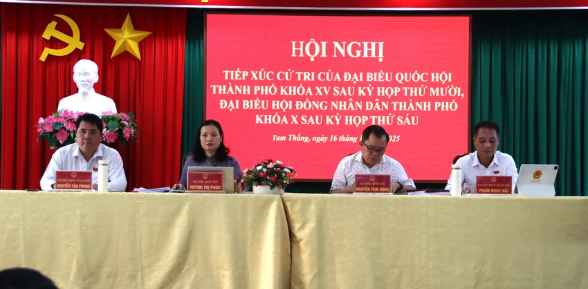 Doan-dai-bieu-quoc-hoi.JPG