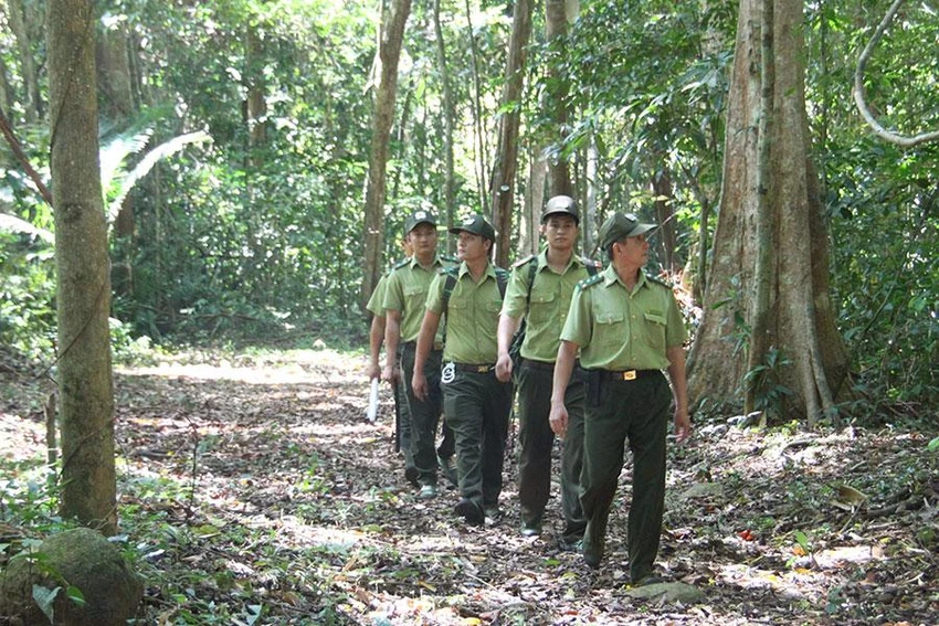 Kiểm lâm tuần tra trong khu rừng của Khu bảo tồn thiên nhiên - văn hóa Đồng Nai. Ảnh: VŨ HỘI Kiểm lâm tuần tra trong khu rừng của Khu bảo tồn thiên nhiên - văn hóa Đồng Nai. Ảnh: VŨ HỘI