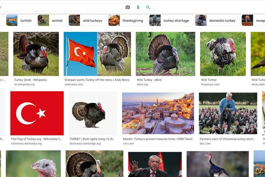 Tra từ “Turkey” trong trang tìm kiếm Google phần lớn cho ra hình ảnh con gà tây. Ảnh: Màn hình Google Tra từ “Turkey” trong trang tìm kiếm Google phần lớn cho ra hình ảnh con gà tây. Ảnh: Màn hình Google