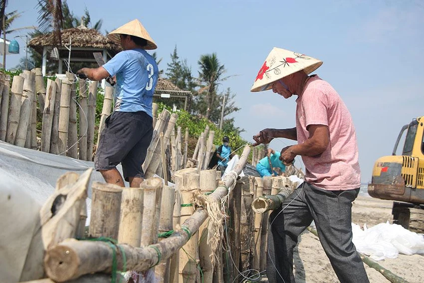 Các hộ kinh doanh đang gia cố kè bằng tre và bao cát. Ảnh: NGÔ QUANG Các hộ kinh doanh đang gia cố kè bằng tre và bao cát. Ảnh: NGÔ QUANG
