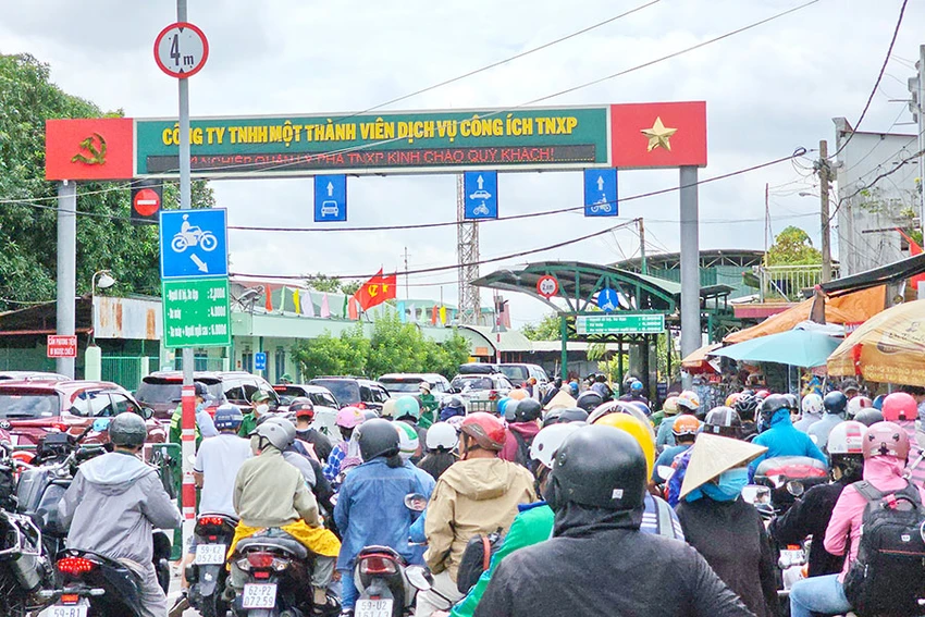 Phà Cát Lái đạt đỉnh với hơn 75.000 lượt khách trong ngày 1-9. Ảnh: ĐÀO TRANG